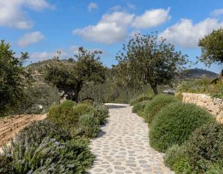 finca-garden-morna-romero-lavanda-1