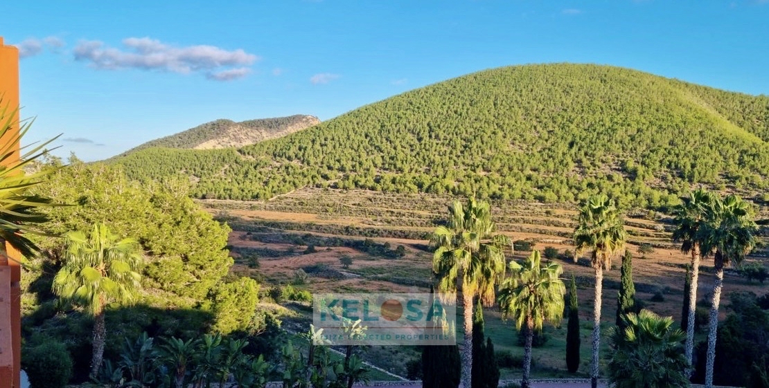 KELOSA   DUPLEX ROCA LLISA   WM (1)