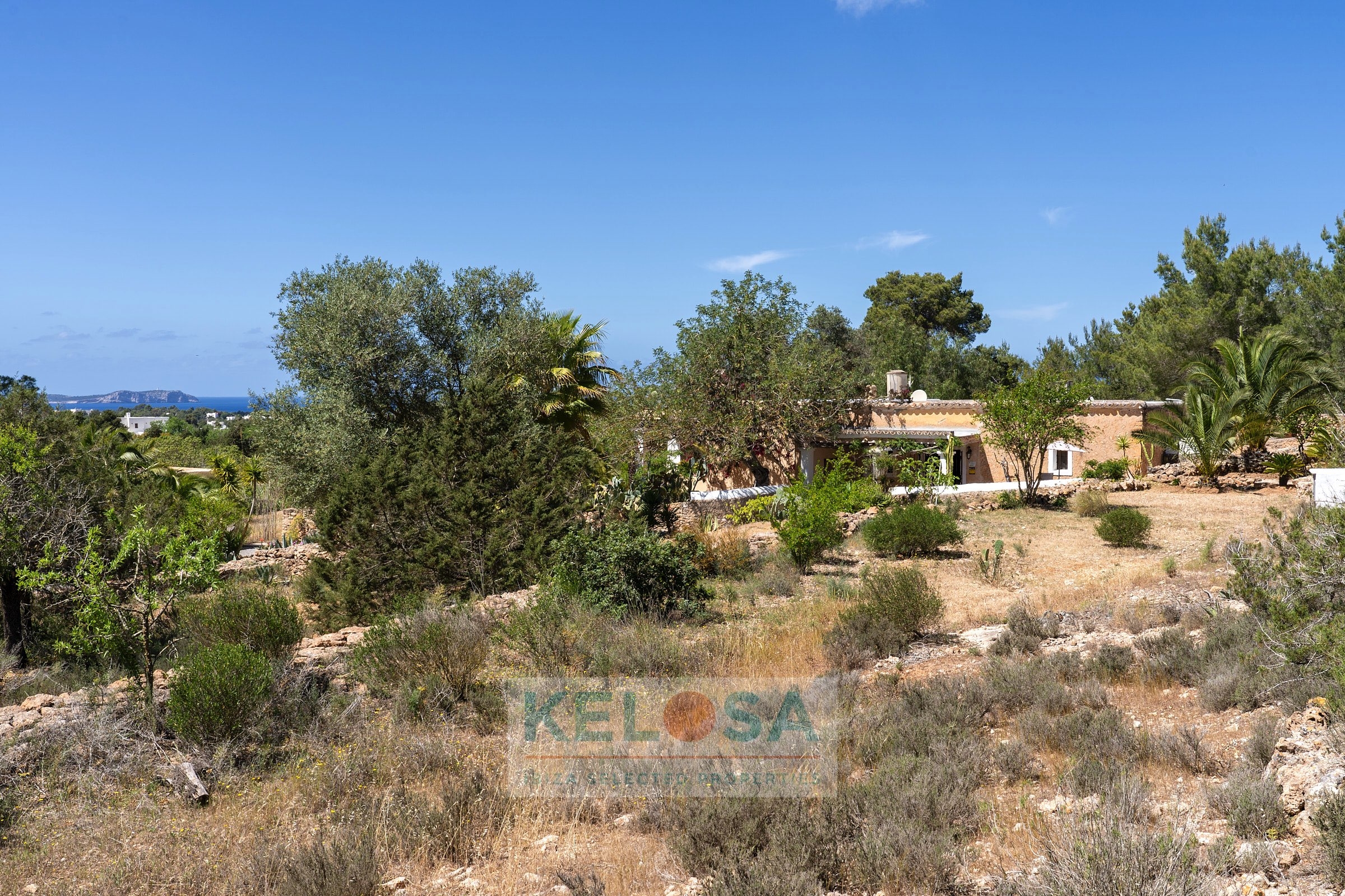 KELOSA   FINCA SAN AGUSTIN   WM 006