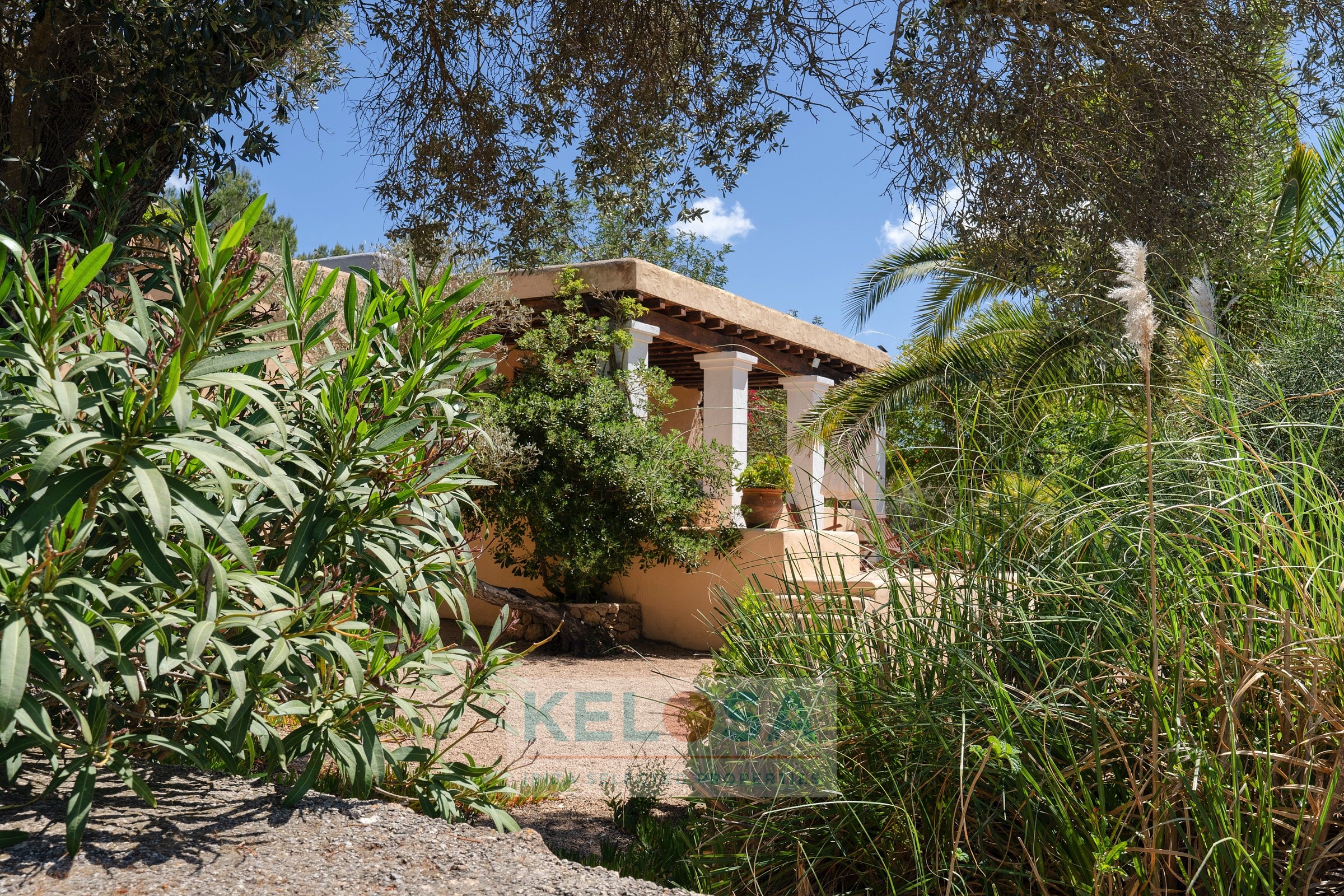 KELOSA   FINCA SAN AGUSTIN   WM 013