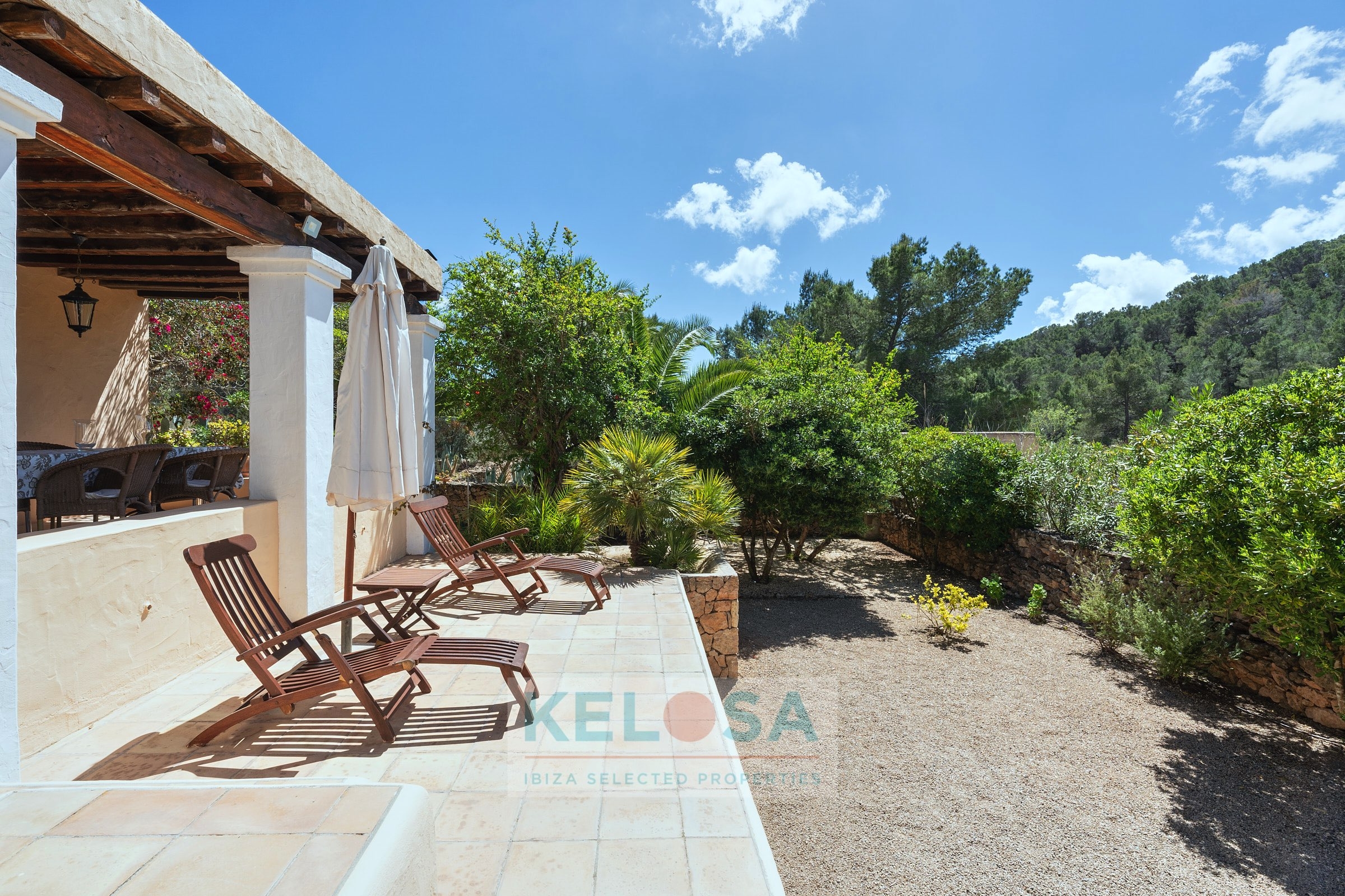 KELOSA   FINCA SAN AGUSTIN   WM 016