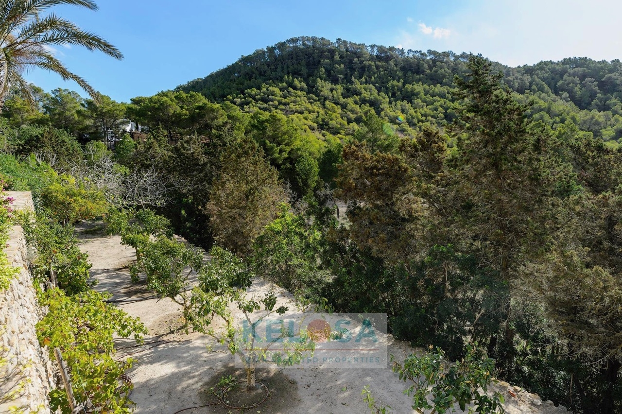 KELOSA   FINCA CAN BENET SAN AGUSTIN   WM 003