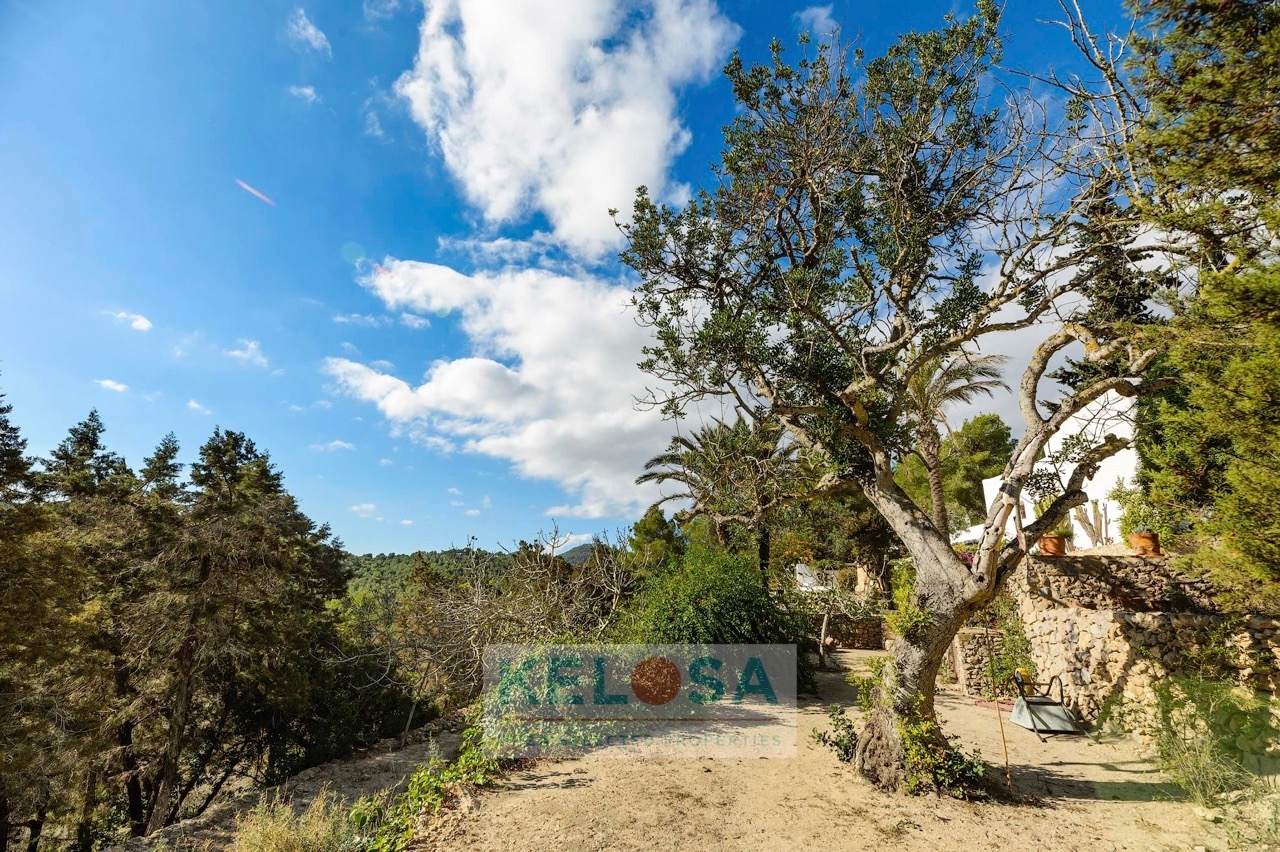 KELOSA   FINCA CAN BENET SAN AGUSTIN   WM 008