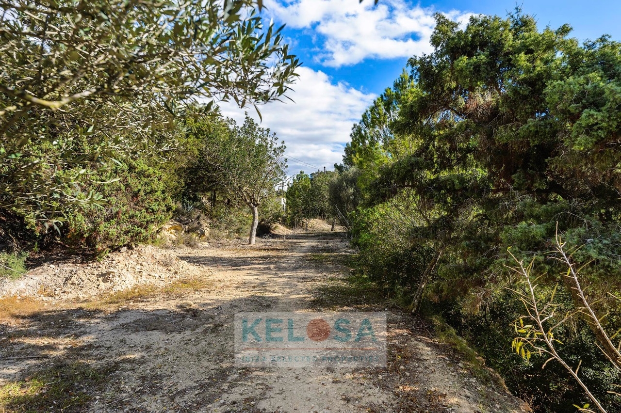 KELOSA   FINCA CAN BENET SAN AGUSTIN   WM 009