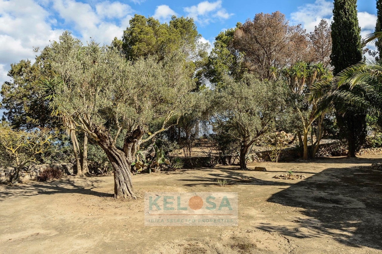 KELOSA   FINCA CAN BENET SAN AGUSTIN   WM 023