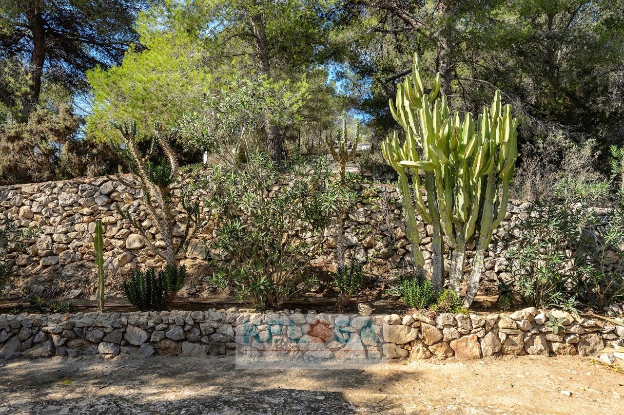 KELOSA   FINCA CAN BENET SAN AGUSTIN   WM 025