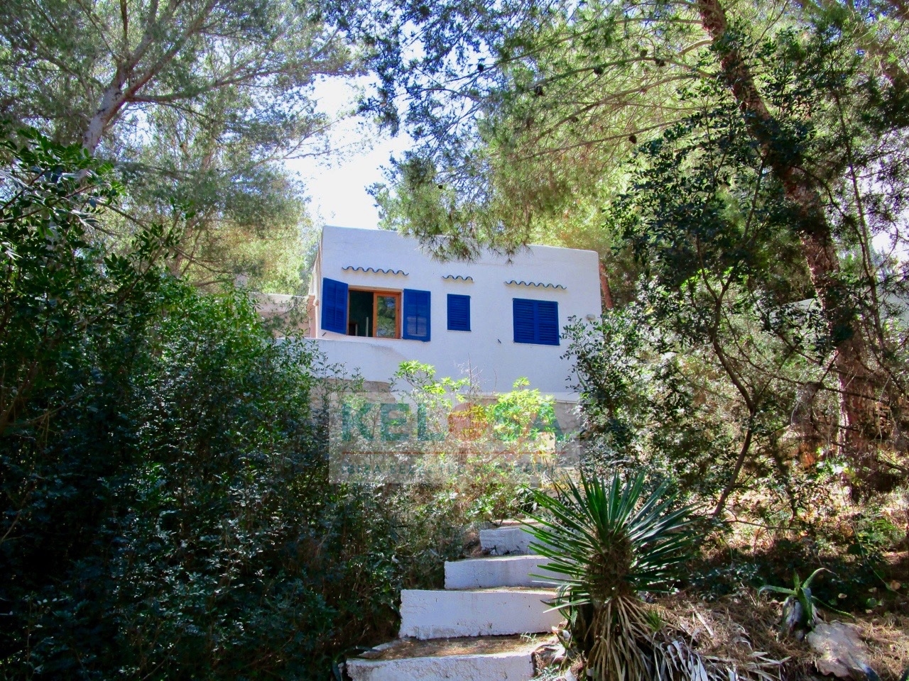 KELOSA CALA VADELLA FOTOS LONE WM 007