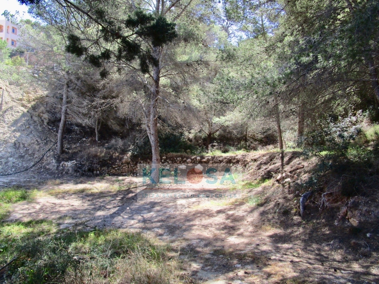 KELOSA CALA VADELLA FOTOS LONE WM 009