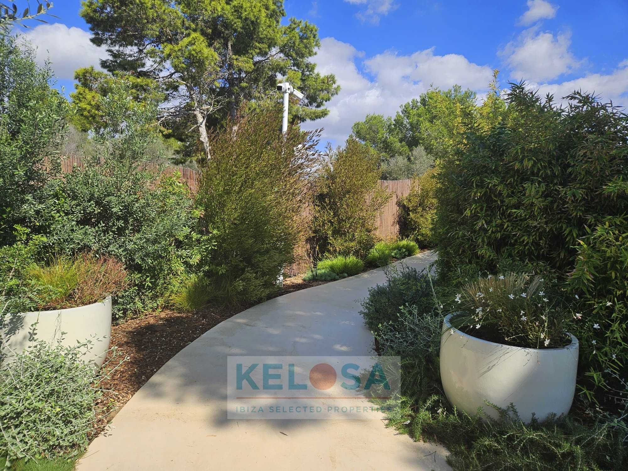 KELOSA   HIPPIMENTS   WM 024