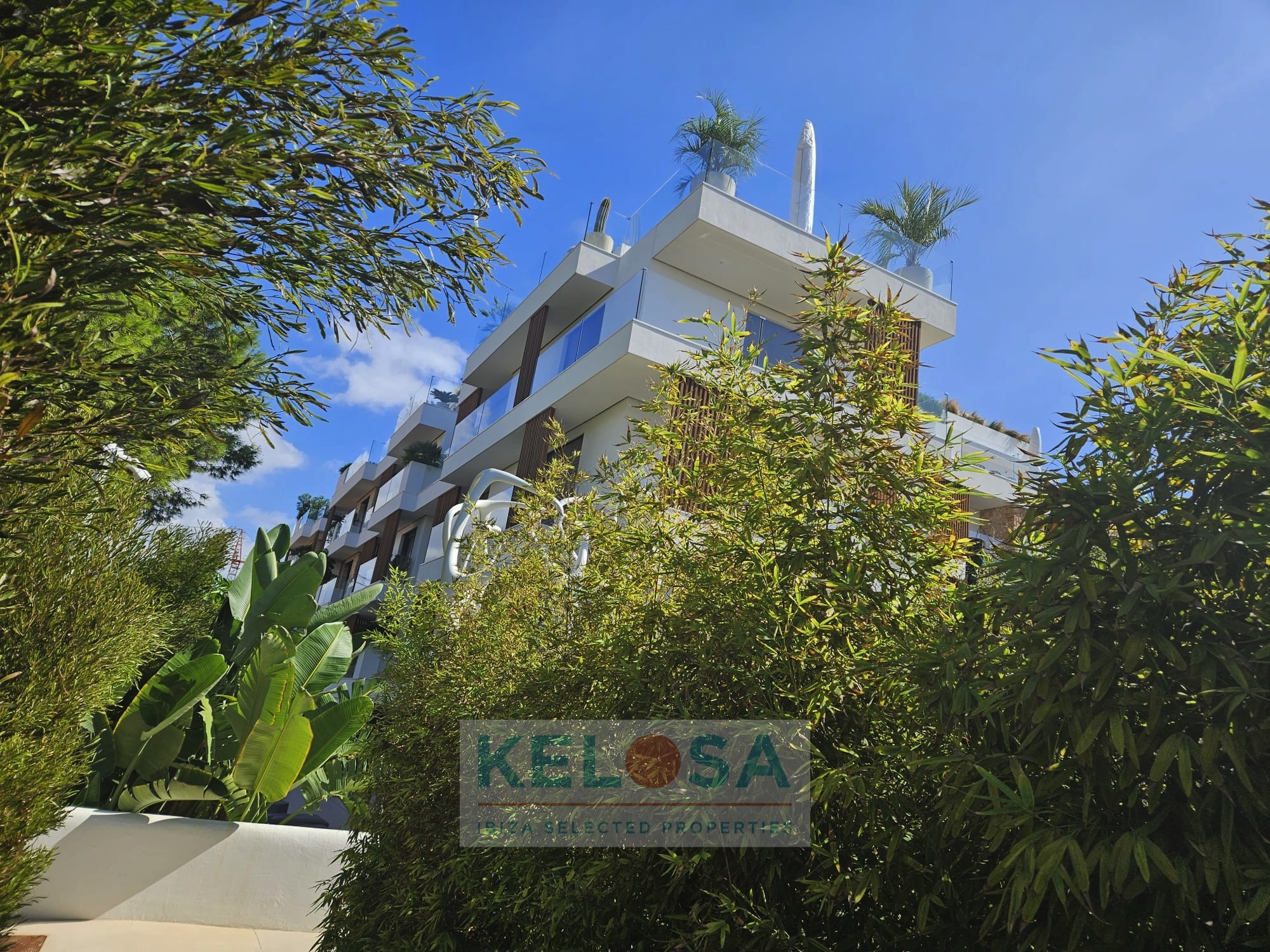 KELOSA   HIPPIMENTS   WM 025