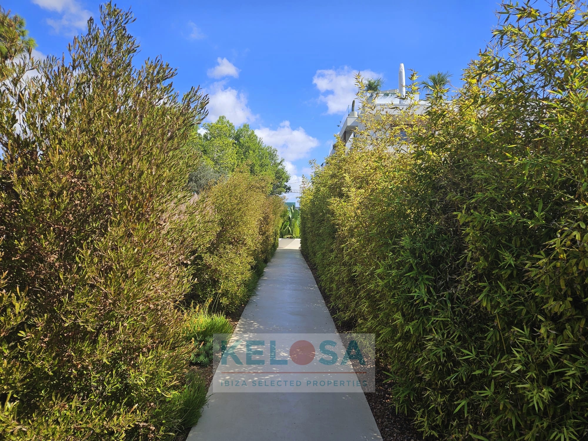 KELOSA   HIPPIMENTS   WM 022