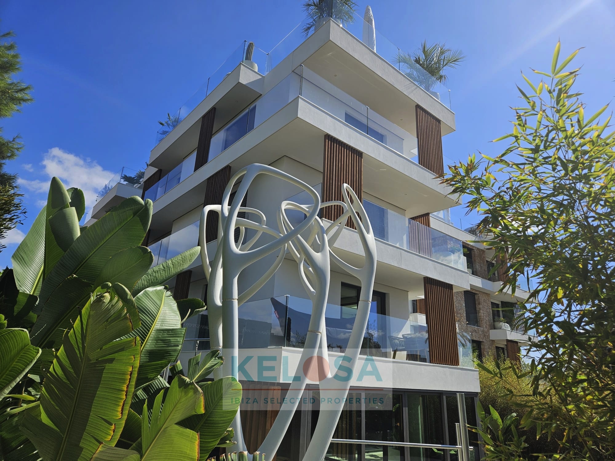 KELOSA   HIPPIMENTS   WM 019