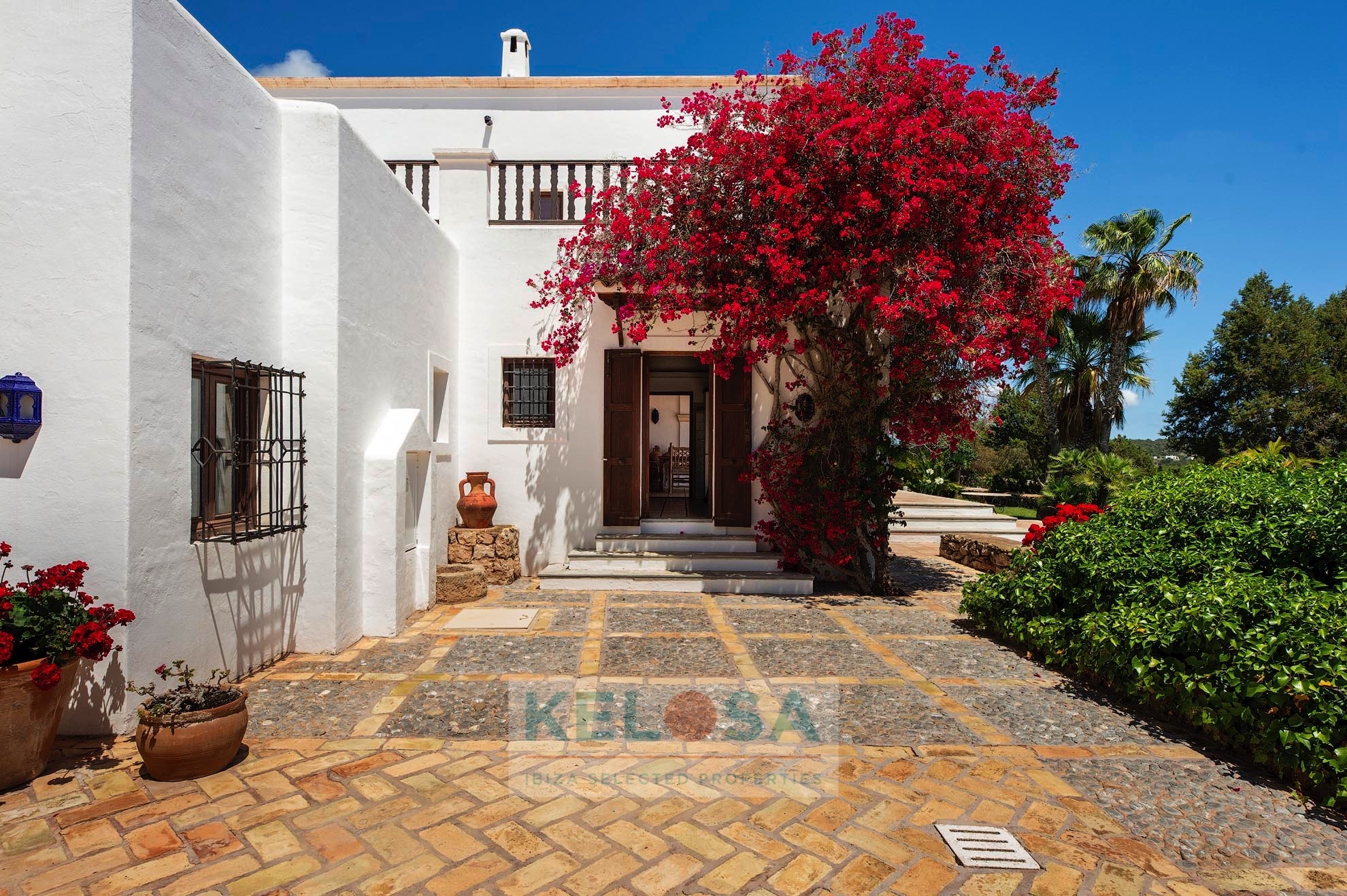 KELOSA FINCA LA PALMA 002