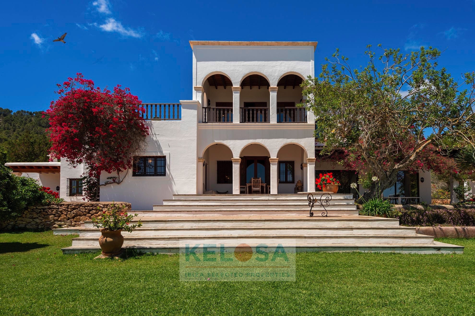 KELOSA FINCA LA PALMA 003
