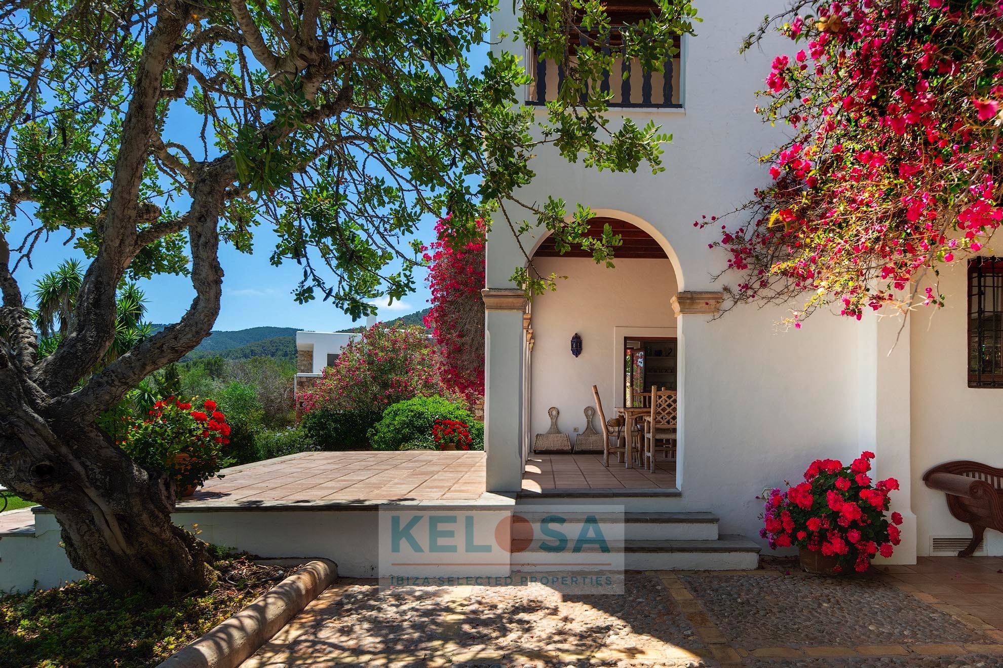 KELOSA FINCA LA PALMA 006