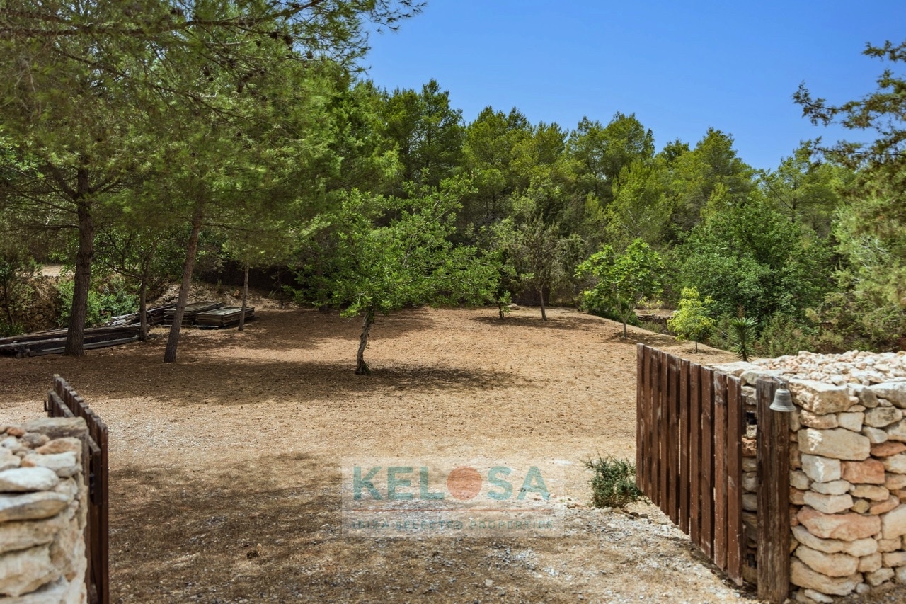 KELOSA   Finca Josephet   Camino viejo Can Furnet 018