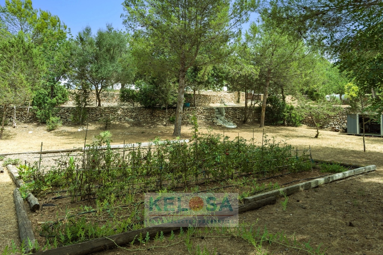 KELOSA   Finca Josephet   Camino viejo Can Furnet 019
