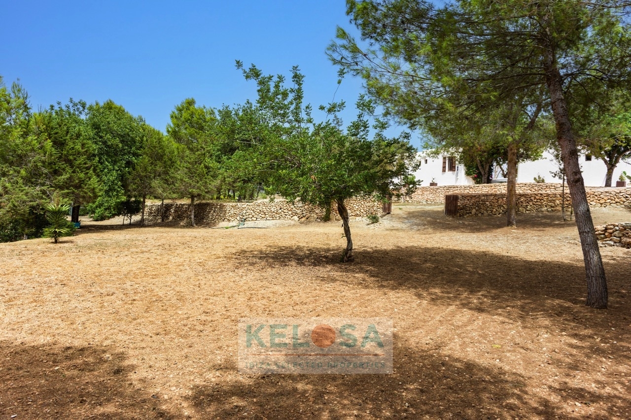 KELOSA   Finca Josephet   Camino viejo Can Furnet 020