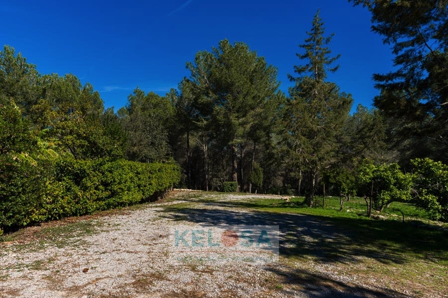 KELOSA CANA MARIA WM RED 041