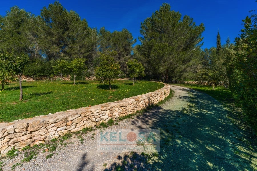 KELOSA CANA MARIA WM RED 042