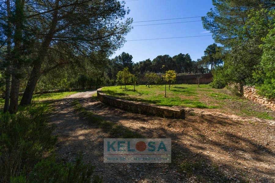 KELOSA CANA MARIA WM RED 043