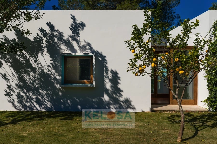 KELOSA CANA MARIA WM RED 004