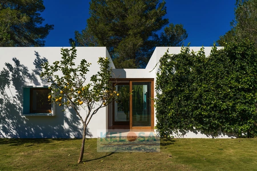 KELOSA CANA MARIA WM RED 005