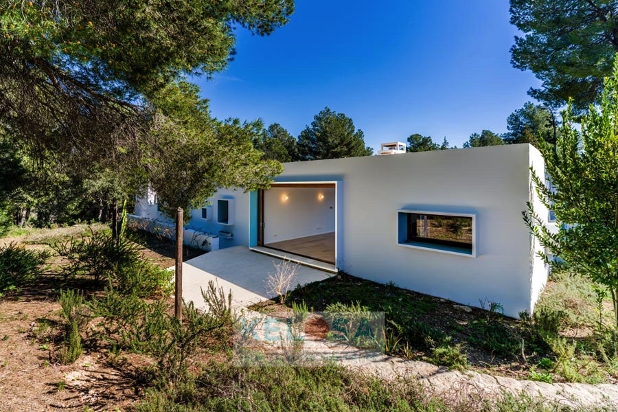 KELOSA CANA MARIA WM RED 011