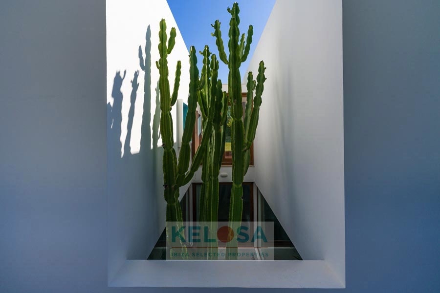 KELOSA CANA MARIA WM RED 013