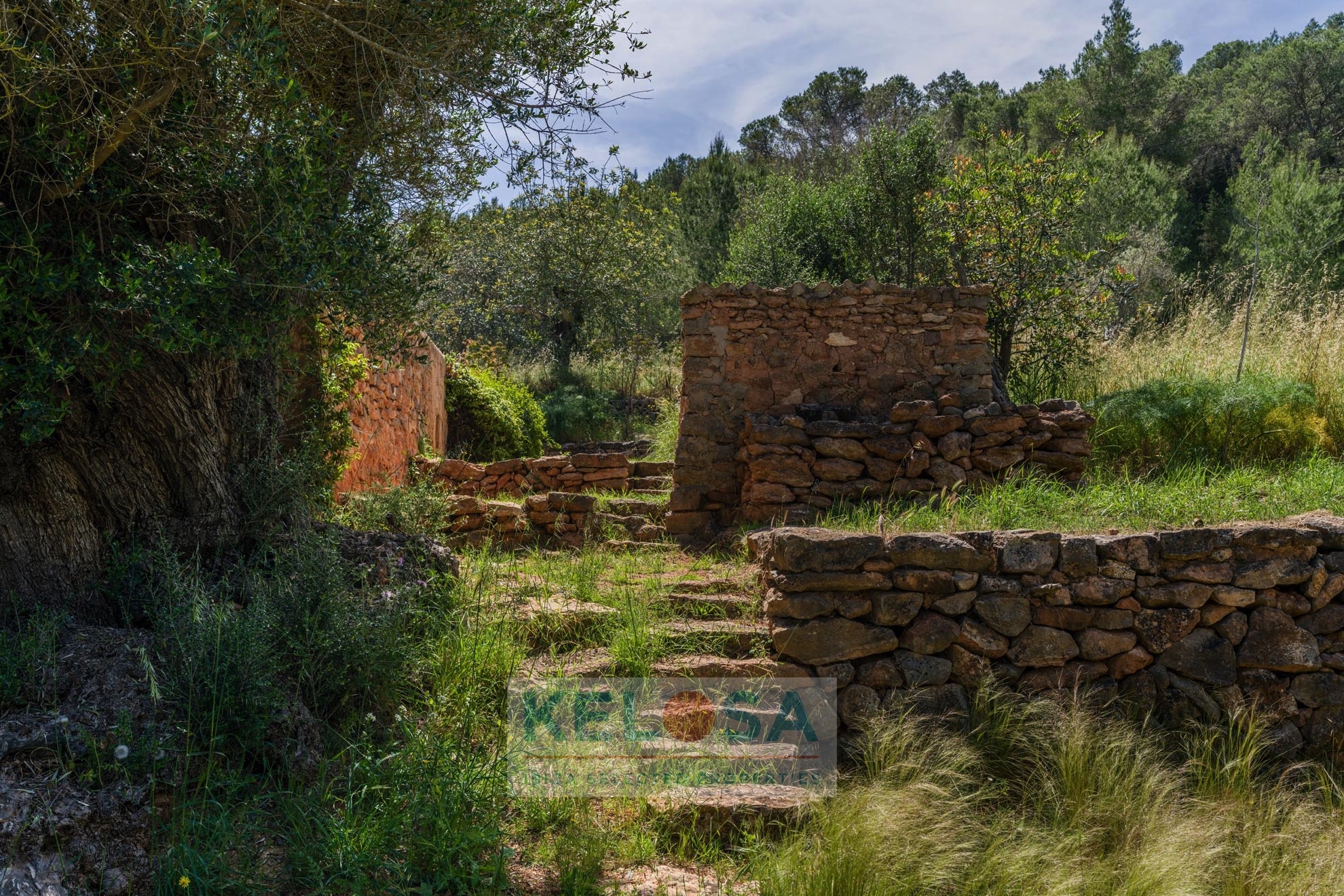 KELOSA Finca Can Basso WM