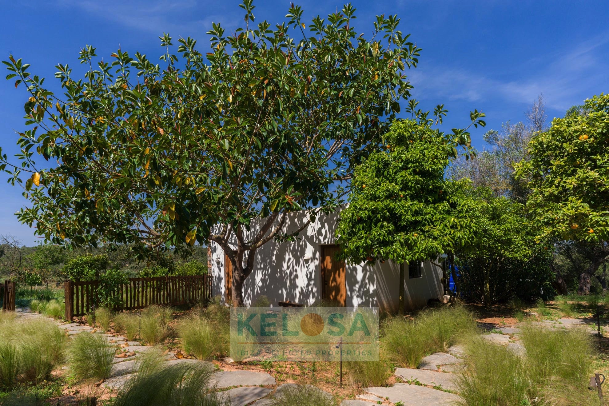 KELOSA Finca Can Basso WM 001
