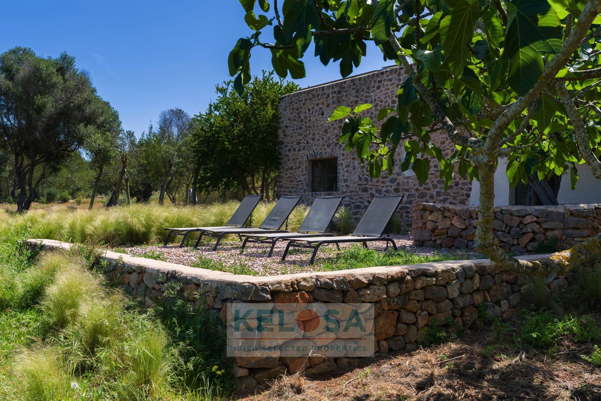 KELOSA Finca Can Basso WM 004