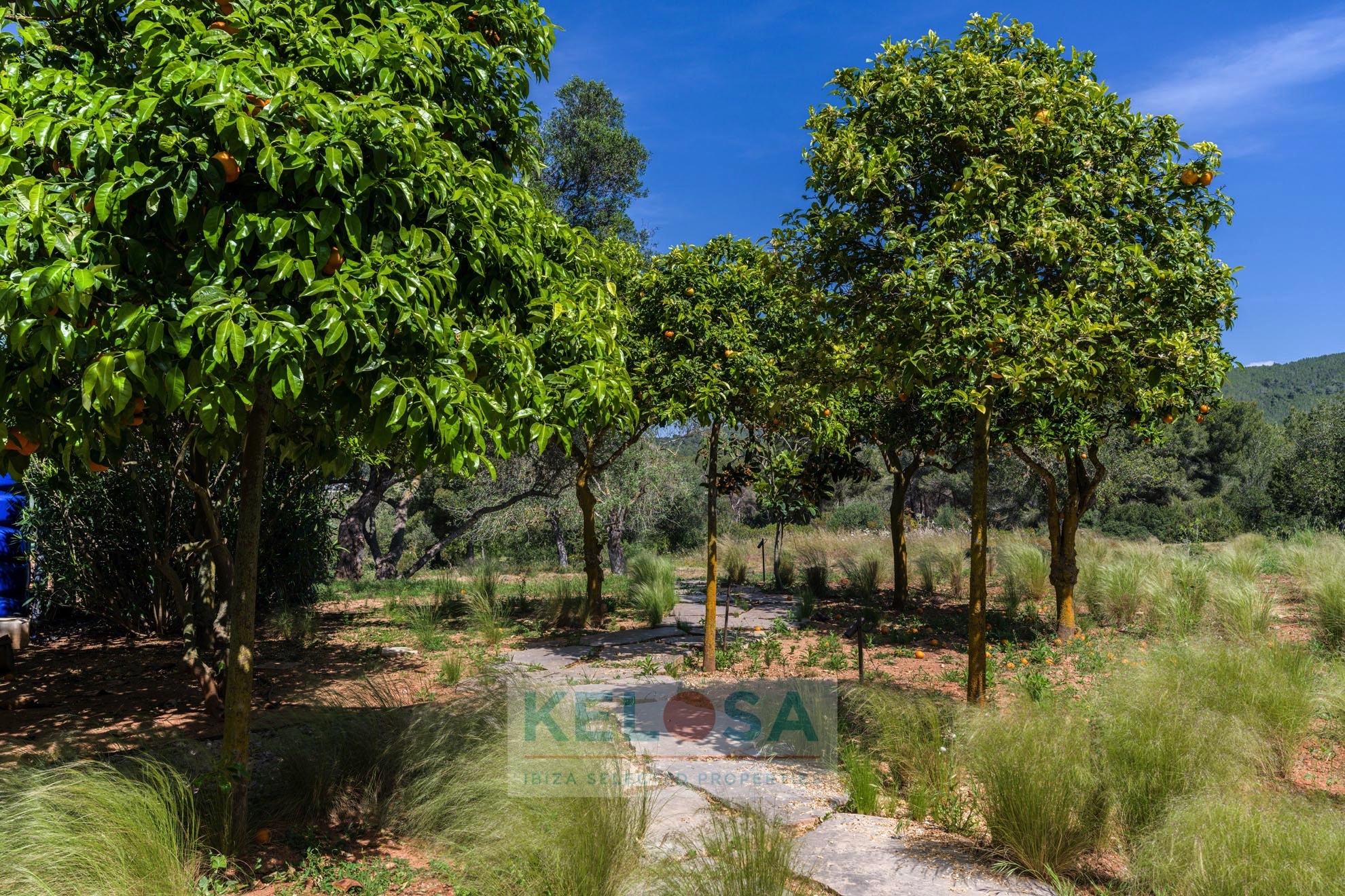 KELOSA Finca Can Basso WM 005