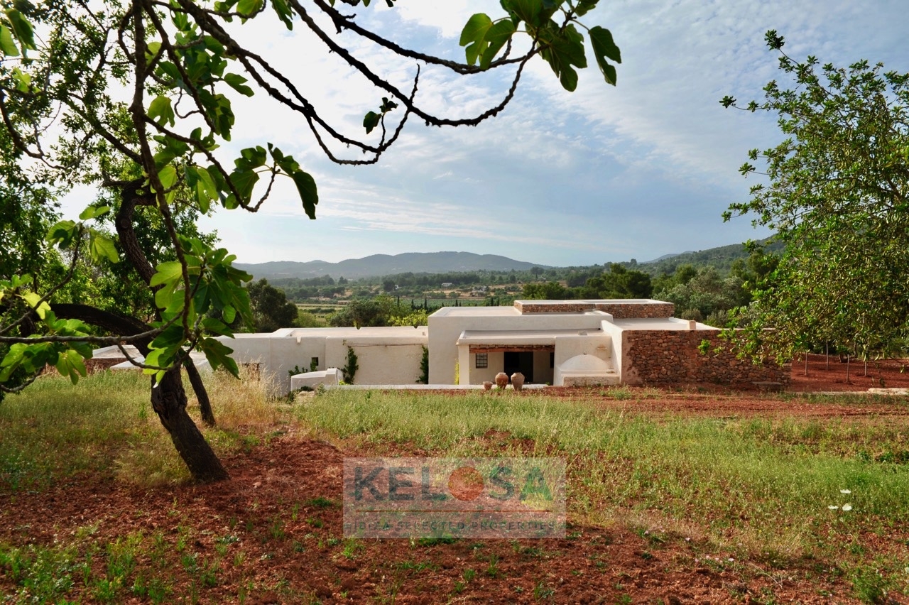 KELOSA CAN BASSO WM 004