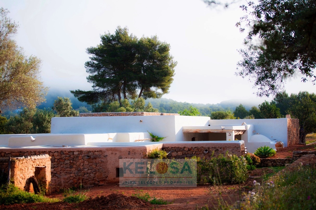 KELOSA CAN BASSO WM