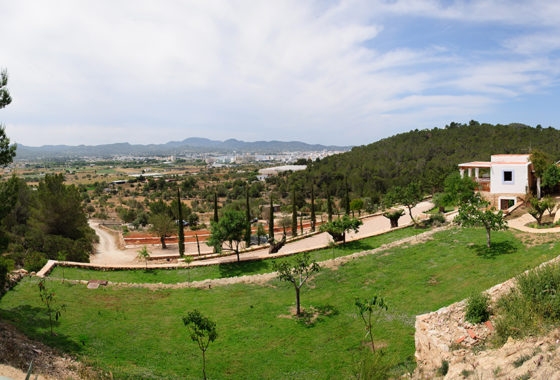 Pano 1 560x380
