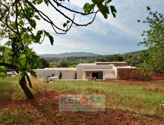 KELOSA CAN BASSO WM 004