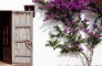 12 Kelosa ibiza Country property with sea views in Cala Xucla