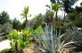 Kelosa 12 Ibiza Reformed country house with view in San Jose wm