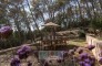 06   CasaBloom 7 10 24 garden   WM   KELOSA