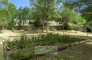 KELOSA   Finca Josephet   Camino viejo Can Furnet 019