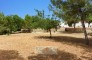 KELOSA   Finca Josephet   Camino viejo Can Furnet 020