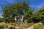 KELOSA Finca Can Basso WM 001