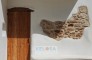 KELOSA Finca Can Jurat WM 043